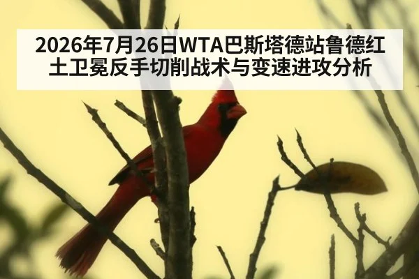 2026年7月26日WTA巴斯塔德站鲁德红土卫冕反手切削战术与变速进攻分析