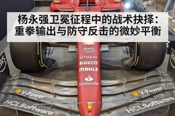 杨永强卫冕征程中的战术抉择：重拳输出与防守反击的微妙平衡